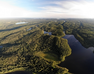 Photo of Karelian forest by ©Lunatishe - stock.adobe.com