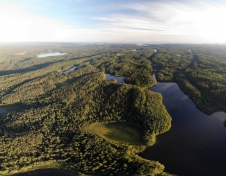 ©Lunatishe - stock.adobe.com Photo of Karelian forest by ©Lunatishe - stock.adobe.com