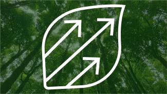 Green forest canopy white outline of a leaf with three arrows
