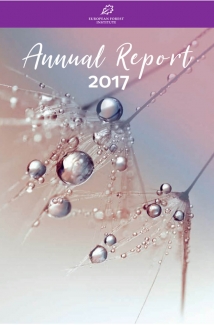 EFI Annual report 2017 cover