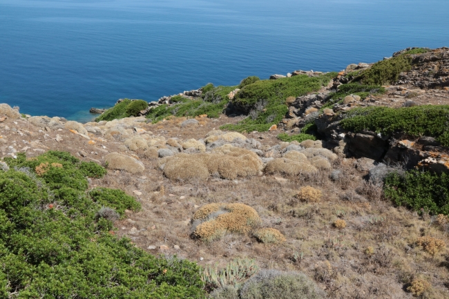 Photo of Asinara national park