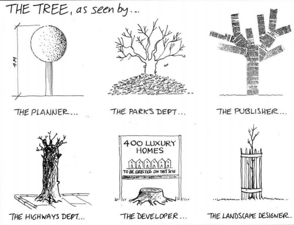 Different perspectives of a tree. 