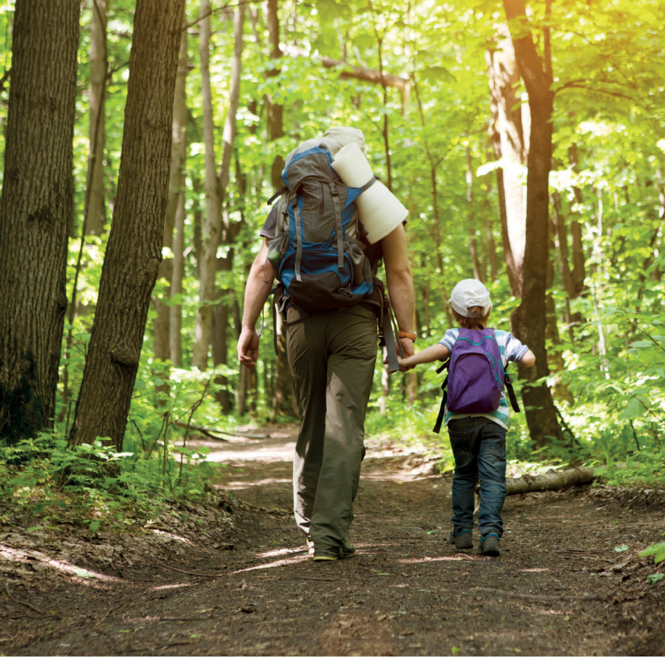 Walking in the forest