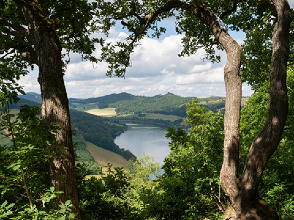 Forest Knowledge Gateway