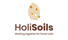 HoliSoils logo