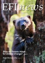 EFI News 2013-1
