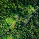 Aerial view of a path through a rainforest