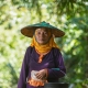 Portrait of Partai, oil palm plantation worker in Sabintulung village, Kutai Kartanegara, East Kalimantan. Copyright: Ricky Martin/CIFOR