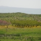 EFI Mediterranean Network Forum