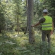 Forest management
