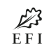 2026 EFI logo