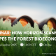 Webinar how horizon scanning shapes the forest bioeconomy Webinar how horizon scanning shapes the forest bioeconomy