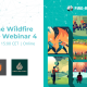 Extreme Wildfire Events