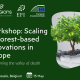 Green background with the text Workshop: Scaling up Forest-based Innovations in Europe