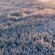  Licensed File #:  185115040 Find Similar Dimensions 5472 x 3078px File Type JPEG Category Landscapes License Type Standard or Extended Aerial view of snowy boreal forest
