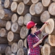 Female forest engineer beside logs