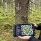 photo of virtual forest management tool being used in forest