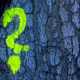 decorative photo of a tree with question mark painted on it