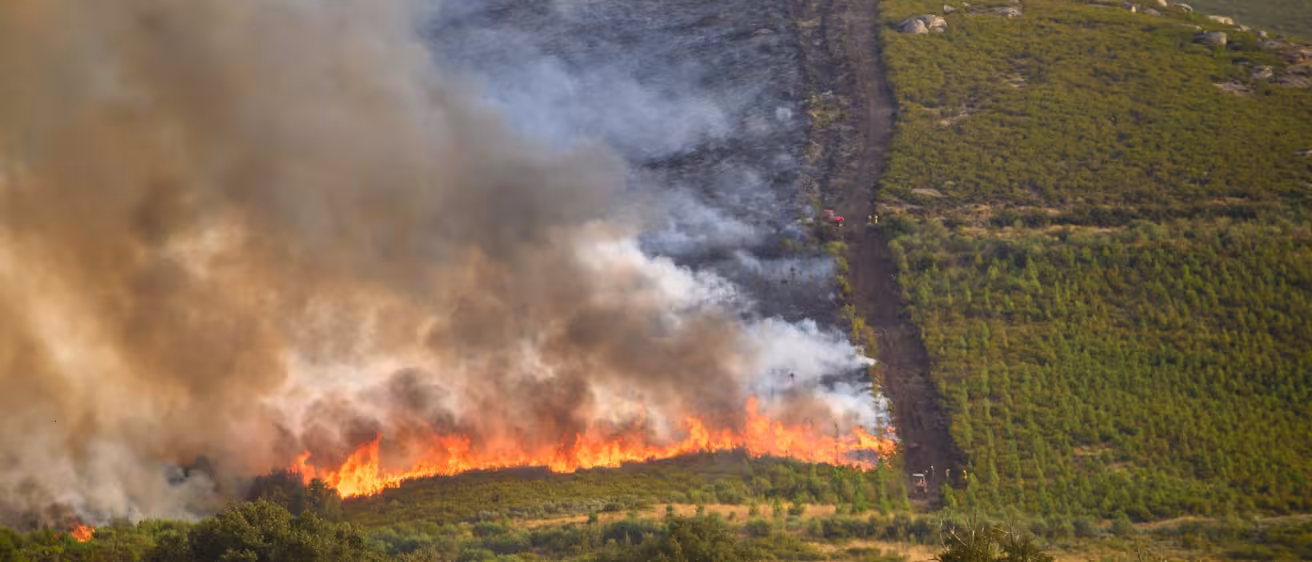 A controlled burn with a fire lane