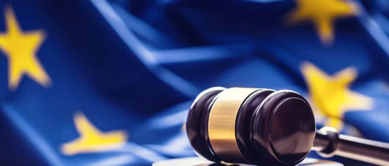 wooden gavel with EU flag in the background