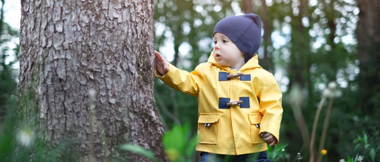 Decorative photo of child in forest