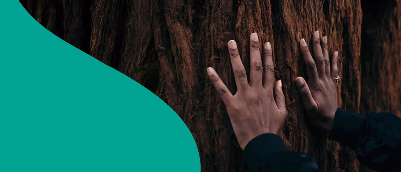 EFI fir wave with hands on a tree trunk
