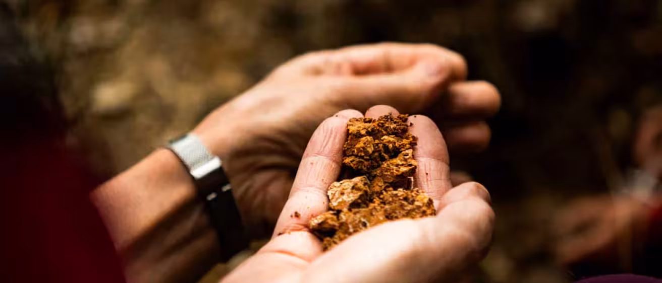 Decorative photo of hand holding soil. 