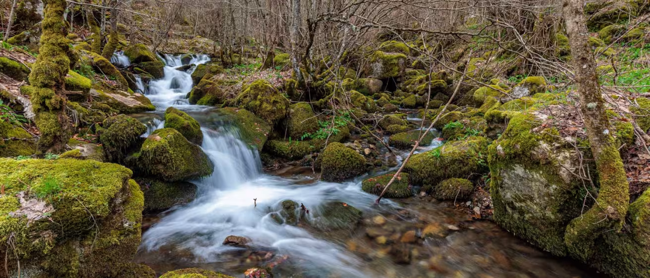Valdecuevas stream crossing the forest with moss-covered rocks, Cabornera de Gord&oacute;n, Le&oacute;n, Spain.
