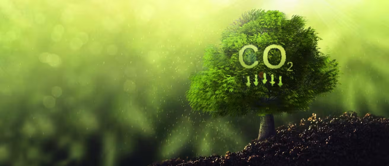 Reduce CO2 emission concept.Clean and friendly environment without carbon dioxide emissions.