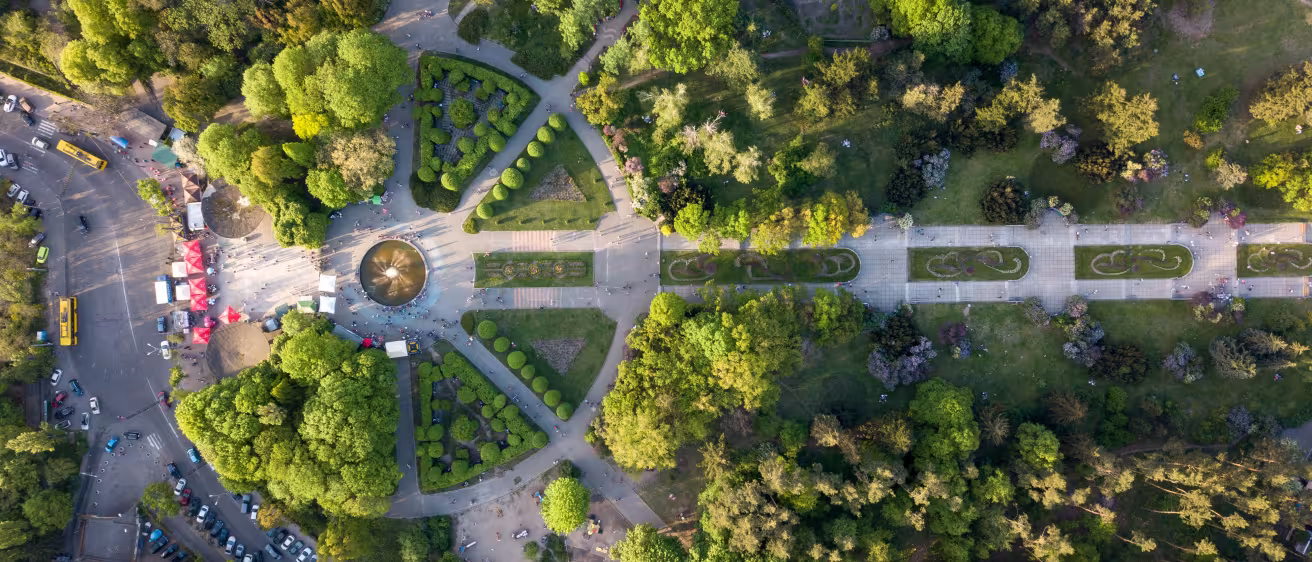 Urban green space and trees, seen from above