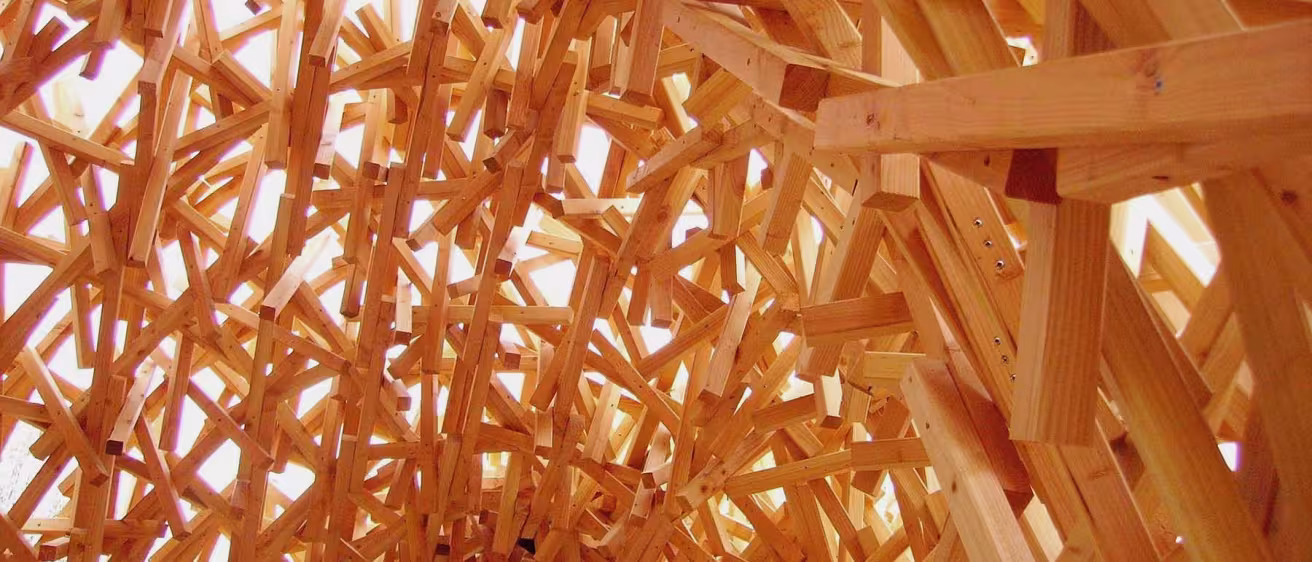 Intricate, overlapping light-colored wooden beams forming a dense, woven architectural ceiling structure.