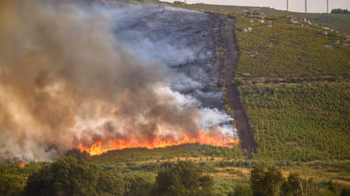 A controlled burn with a fire lane