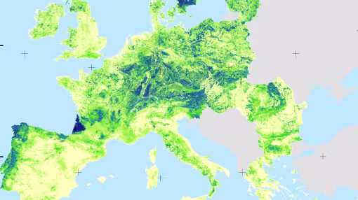 Wood production maps for European forests