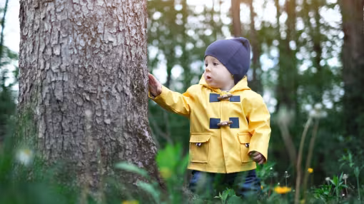 Decorative photo of child in forest