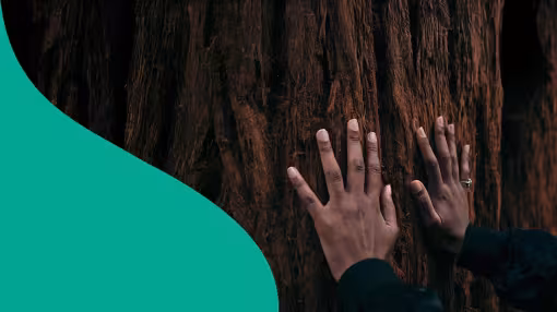 EFI fir wave with hands on a tree trunk