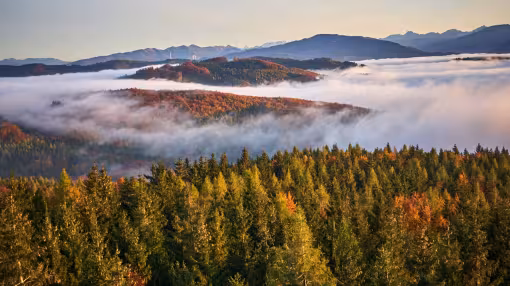 Aerial view of a mountain landscape featuring thick valley fog between autumn forests.