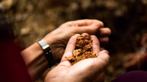 Decorative photo of hand holding soil. 