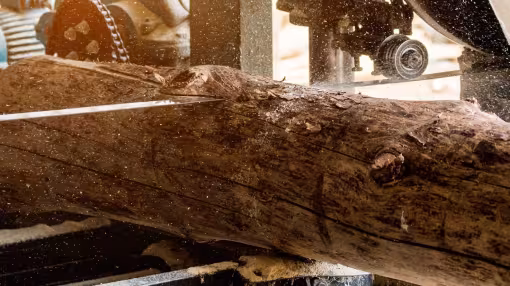 Close-up of a large timber log being sliced by a bandsaw in a sawmill, with sawdust flying.