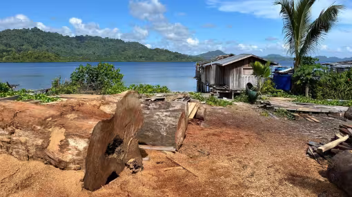 Timber production area featuring large logs and a wooden stilt house overlooking a tropical bay.