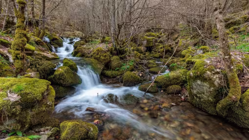 Valdecuevas stream crossing the forest with moss-covered rocks, Cabornera de Gord&oacute;n, Le&oacute;n, Spain.