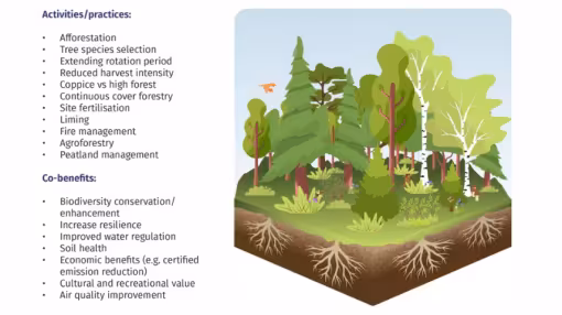What is carbon farming in forests?