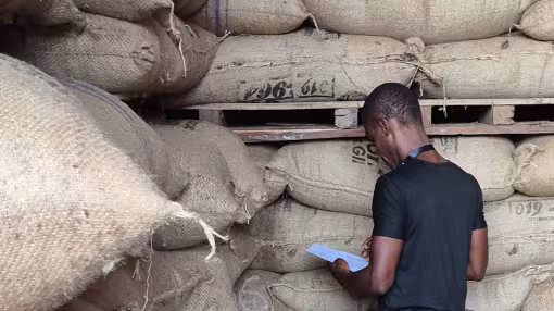 A man in a black shirt stands in a warehouse, reviewing paperwork in front of a large stack of burlap sacks filled with cocoa beans on wooden pallets.