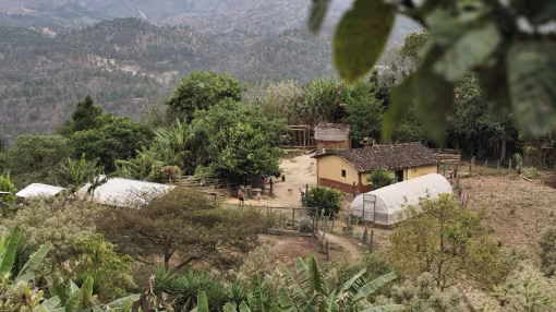 A high-angle view of a rural homestead in Honduras featuring a small house, a greenhouse, and lush tropical vegetation, set against a backdrop of rolling, forested mountains.