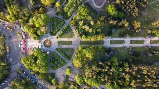 Urban green space and trees, seen from above