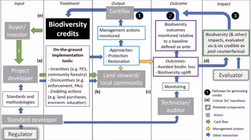 Theory of change diagram for biodiversity credits: current and potential function.