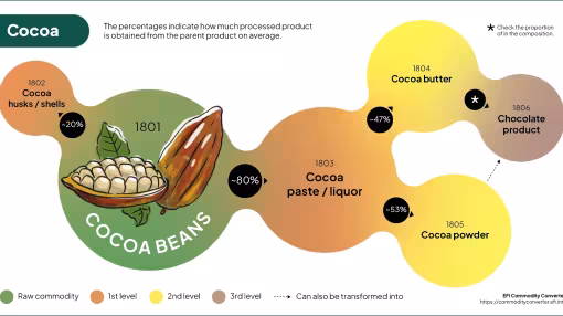 An infographic showing the processing breakdown of cocoa beans into various products, using color-coded nodes to represent processing levels.