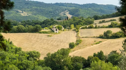 Mediterranean landscape