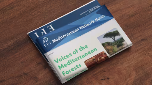 EFI Mediterranean Network News June 2026