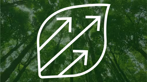 Stylized white outline of a leaf with three diagonal upward arrows inside, overlaid on a background of tall green forest trees viewed from below, suggesting growth, sustainability, and bioeconomy.