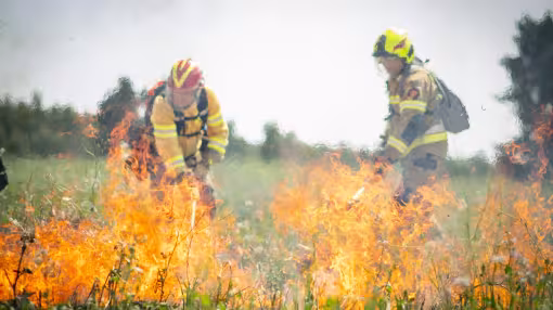 Two firefighters in protective gear work amid active flames during a controlled grassland burn. Bright orange fire spreads across dry vegetation in the foreground, while the firefighters use hand tools to manage the fire line. Smoke rises into the air, partially obscuring a grassy landscape and trees in the background.